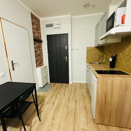 Przy Parku Roz Apartment Chorzow Exterior photo